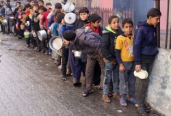 مانحون غربيون يوقفون دعم الحقوقية آية حجازي لموقفها الرافض لإبادة غزة 