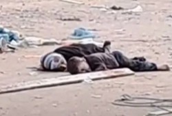 بالفيديو.. قناصة الاحتلال تقتل طفل 4 سنوات وفتاة 20 سنة