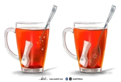 غزة عصية على الذوبان