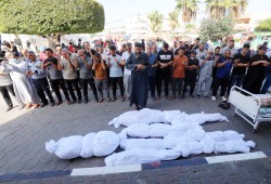 127 شهيدا في 13 مجزرة خلال الساعات الـ24 الماضية