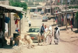 تعرف على تاريخ رفح: من الواحة إلى الاستراحة
