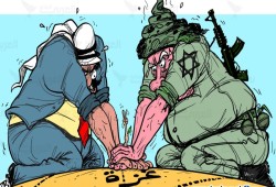 كيف صمدت غزّة ولماذا؟