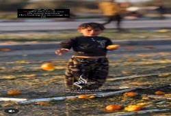 غلبه الخجل.. رد فعل طفل في غزة رأى الكاميرا تصوره وهو يأكل من المخلفات