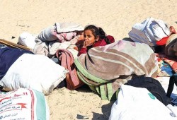 الموت جوعا في غزة.. الأعلاف والتمر بدلا من الطعام واللبن!