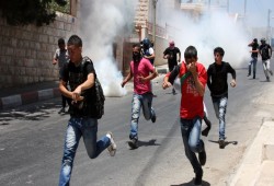 5424 طالبا فلسطينيا استُشهدوا منذ بداية العدوان على غزة