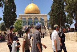 متطرفون صهاينة يقتحمون المسجد الأقصى.. ودعوات للزحف والرباط