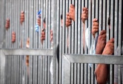 "الحصاد المر".. حملة حقوقية دولية لكشف الانتهاكات ضد المعتقلين في مصر
