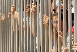 شهادات لـ 5 أشخاص.. "الدولار فاتح معبر رفح" وللفلسطيني سعر خاص (صور ووثائق)