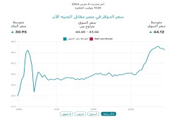 الدولار يعاود الارتفاع مجددا في السوق السوداء.. وخبراء: هذا وضع الجنيه الحقيقي