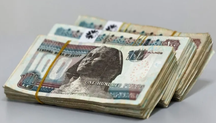 الإمارات تحقق مكاسب مليارية في اليوم الأول من تعويم الجنيه