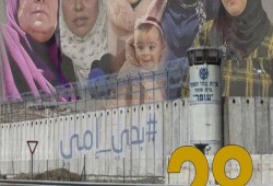 الأم الغزية.. مصنع إنتاج الأبطال وقصة الصمود في وجه الاحتلال