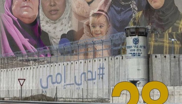 الأم الغزية.. مصنع إنتاج الأبطال وقصة الصمود في وجه الاحتلال