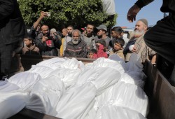 8 مجازر و84 شهيدًا بعدوان الاحتلال على غزة في 24 ساعة