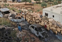 ميدل إيست آي: شهر قاسٍ من المجازر بحق الفلسطينيين مع سقوط قناع الولايات المتحدة