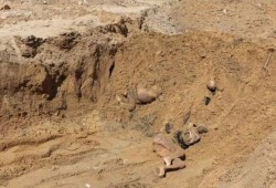 أكاديمي بالجامعة العبرية: الإبادة الجماعية في غزة هولوكوست يلغي الوجود الفلسطيني