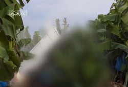 "القسام" تبث لأول مرة رشقات صاروخية من جنوب لبنان لشمال فلسطين المحتل (فيديو))