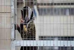 ارتفاع عدد الأسيرات المعتقلات إداريًّا إلى 25