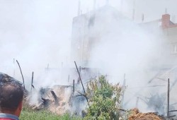 بالصور.. حريق هائل يلتهم 3 حظائر ماشية بالمنوفية