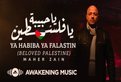 دعماً لما يحدث في غزة.. ماهر زين يصدر أغنية تحت عنوان "يا حبيبة يا فلسطين"