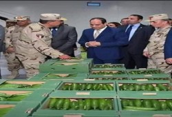 قرار تخصيص جديد بمليون فدان زراعي.. أراض وضع يد يستحوذ عليها الجيش 