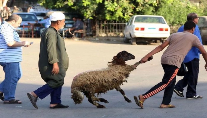 معهد الفلك: أول أيام عيد الأضحى المبارك يوم الأحد الموافق 16 يونيو المقبل