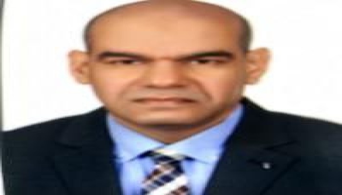جدل القبلية والمركزية في مصر