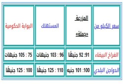 ارتفاع أسعار الفراخ البيضاء في الأسواق إلى 104 جنيهات