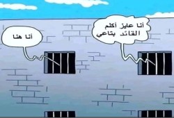 انبهار على "التواصل" من عملية  أسر جنود صهاينة عصر 25 مايو