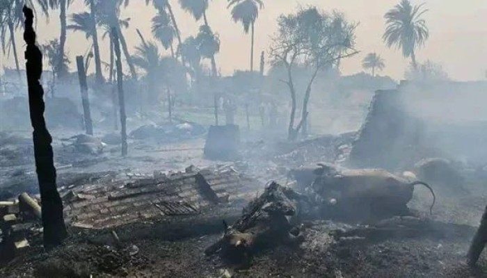 إصابة 10 باختناق ونفوق 50 رأس ماشية في حريق بـ4 منازل و12 حوشا بسوهاج
