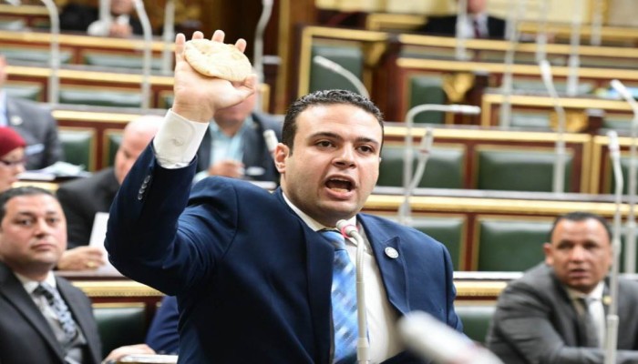 عبد المنعم إمام يهاجم حكومة الانقلاب: تستحق المحاكمة.. وخدعتنا لصالح صندوق النقد