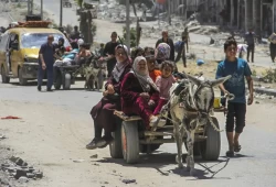 الأونروا: التهجير القسري أخرج أكثر من مليون فلسطيني من رفح