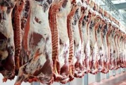 اسعار مرتفعة واقبال محدود......ارتفاع اسعار اللحوم بنسبة تتجاوز 40 %