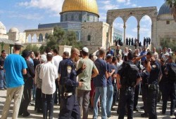 مئات المستوطنين يقتحمون باحات المسجد الأقصى قبيل انطلاق مسيرة الأعلام.