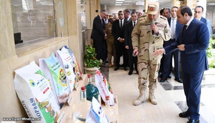 حكومة الانقلاب تقطع إمدادات الغاز عن مصانع الأسمدة وتوجهها لمحطات الكهرباء
