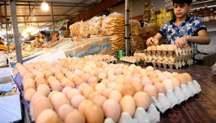 ارتفاع أسعار البيض في الأسواق والكرتونة تسجل 160 جنيهاً
