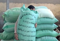 بعد تحريك الدعم عن الخبز.. تجار يشتكون من ارتفاع أسعار الدقيق: الطن زاد 500 جنيه