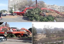 غضب على التواصل بعد استمرار قطع أشجار حديقة الميرلاند في القاهرة