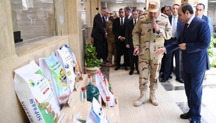مجدداً.. حكومة الانقلاب تقطع الغاز عن عن مصانع البتروكيماويات والأسمدة