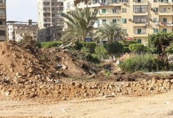 نائبة فى برلمان الانقلاب تطالب بإجراء تحقيق فى الجهات المسؤولة عن تقليص المساحات الخضراء .