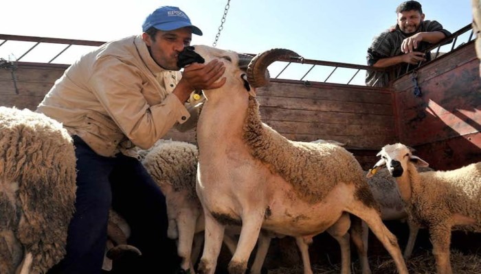 الغلاء يعصف بفرحة العيد الى الهاوية .... مواطنون يتخلون عن شراء اللحوم فى العيد