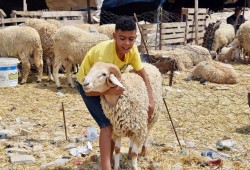 منها تلبية حاجات الروح والجسد.. 6 معاني مهمة في يوم العيد