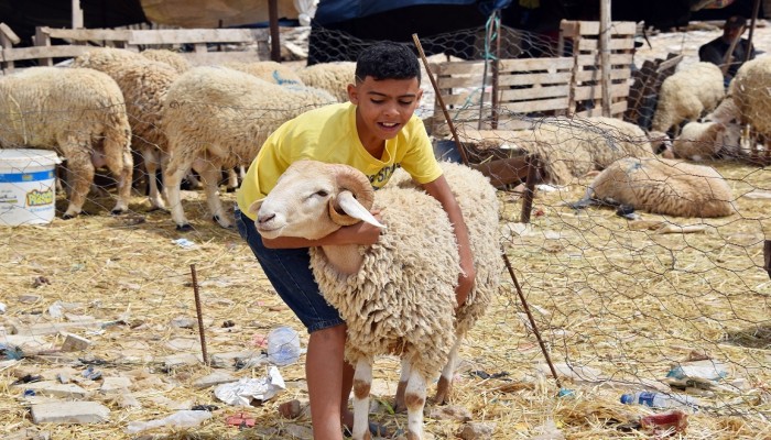 منها تلبية حاجات الروح والجسد.. 6 معاني مهمة في يوم العيد