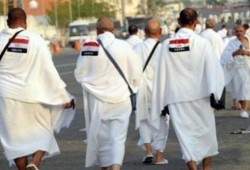 أغلبهم مصريون.. سبب وفيات في صفوف الحجاج