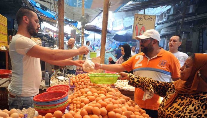 ارتفاع أسعار البيض  اليوم الإثنين في الأسواق المصرية 14.5 جنيه