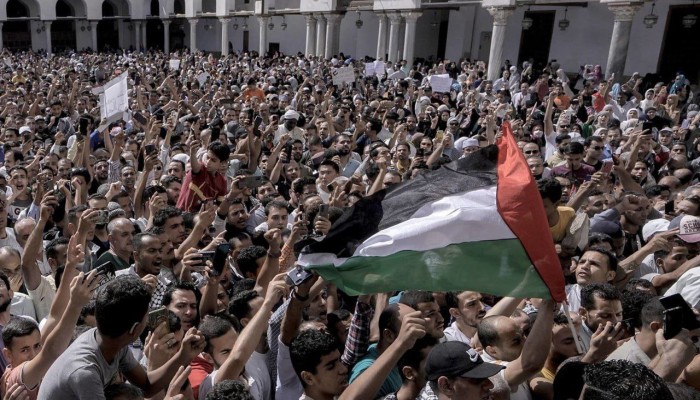الانقلاب يجدد حبس 177 شاباً على خلفية تظاهرات مؤيدة لغزة