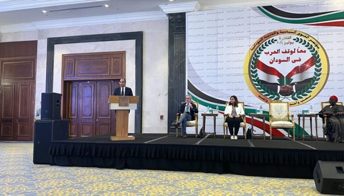 وزير خارجية مصر: حل أزمة السودان يجب أن يكون سودانياً خالصاً دون تدخلات خارجية.