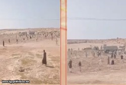 «تهجير بالإكراه».. السيسي يعطي هشام طلعت مصطفى 5540 فدان في مرسى مطروح
