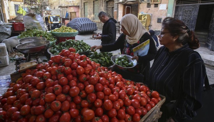 أسعار الخضروات في مصر تتضاعف.. فماذا يقول المزارعون؟