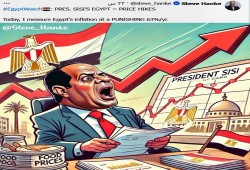 خبير اقتصادي أمريكي: السيسي يساوي ارتفاع الأسعار والتضخم 63%