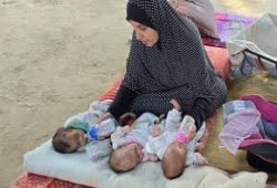 العيش في خيمة مع ثلاثة توائم مبتسرين: هكذا يطارد الخوف والقلق الأمهات الجدد في غزة